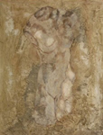 Torso